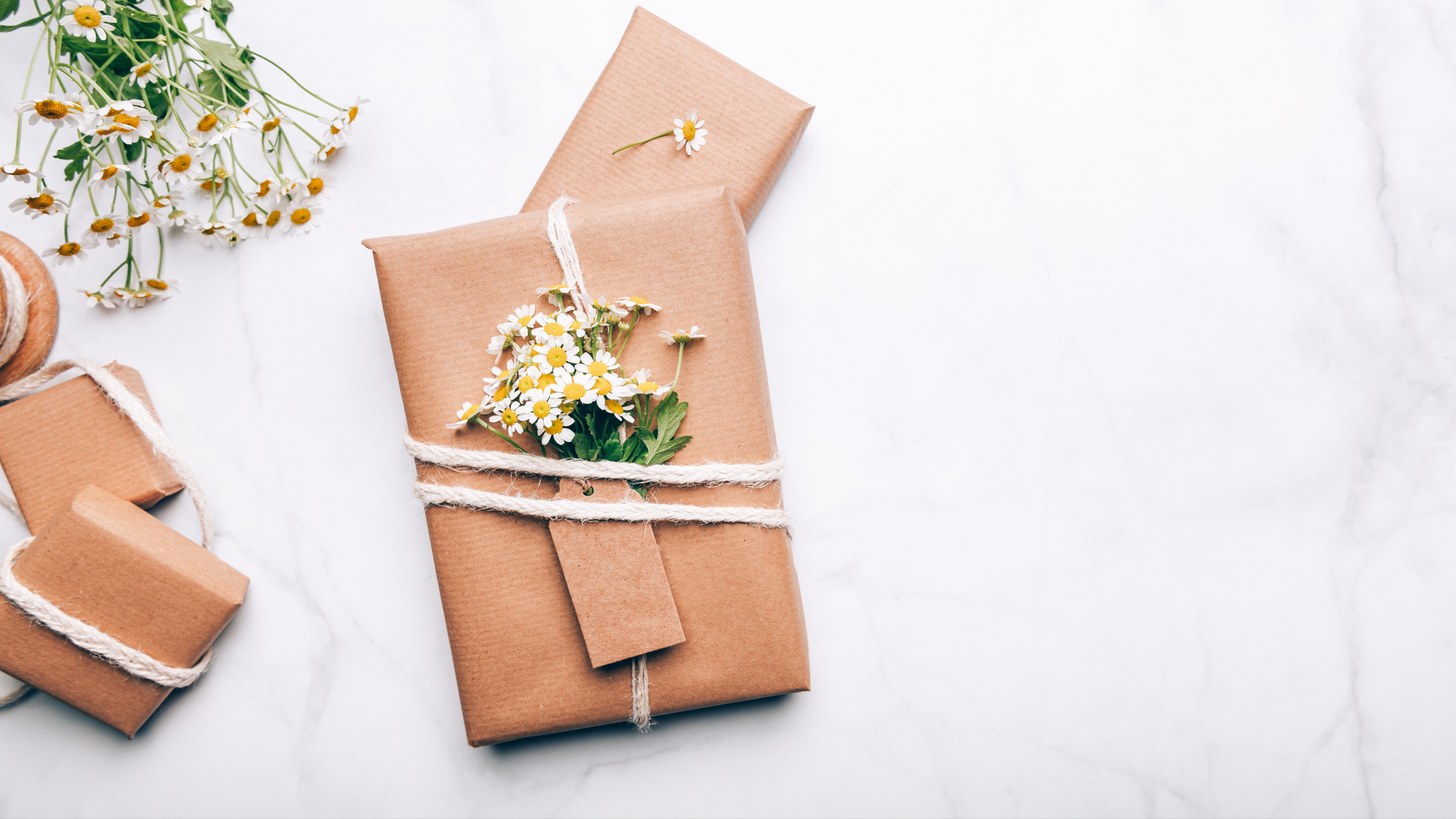 Eco-Friendly Gift Ideas: Thoughtful Presents That Won't Cost the Earth