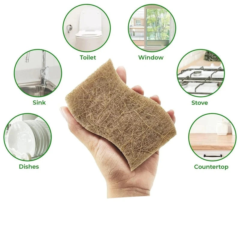 Biodegradable Dishes Sponge